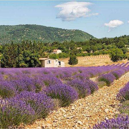 Hotel D'Albion Sault-de-Vaucluse Exteriér fotografie