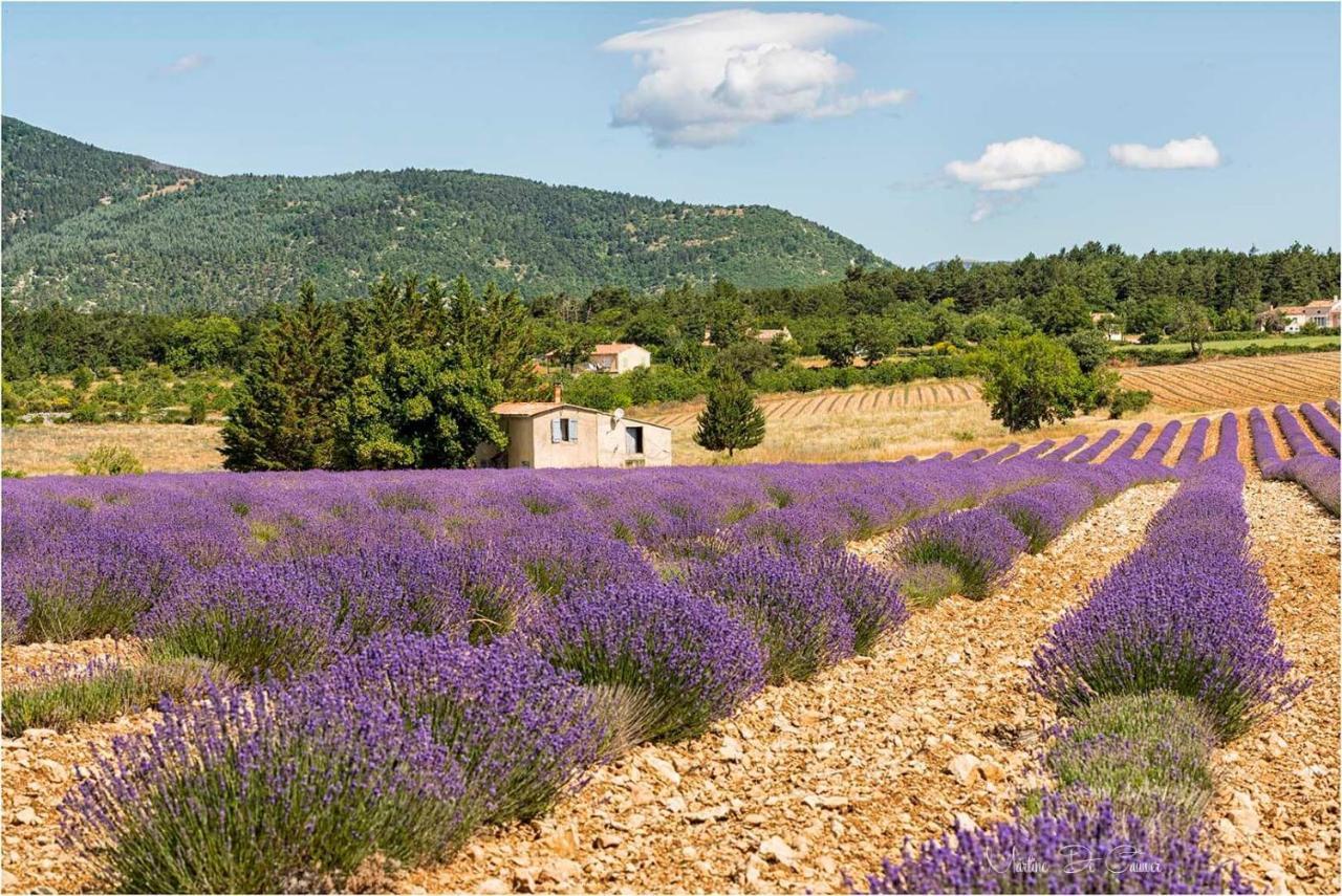 Hotel D'Albion Sault-de-Vaucluse Exteriér fotografie