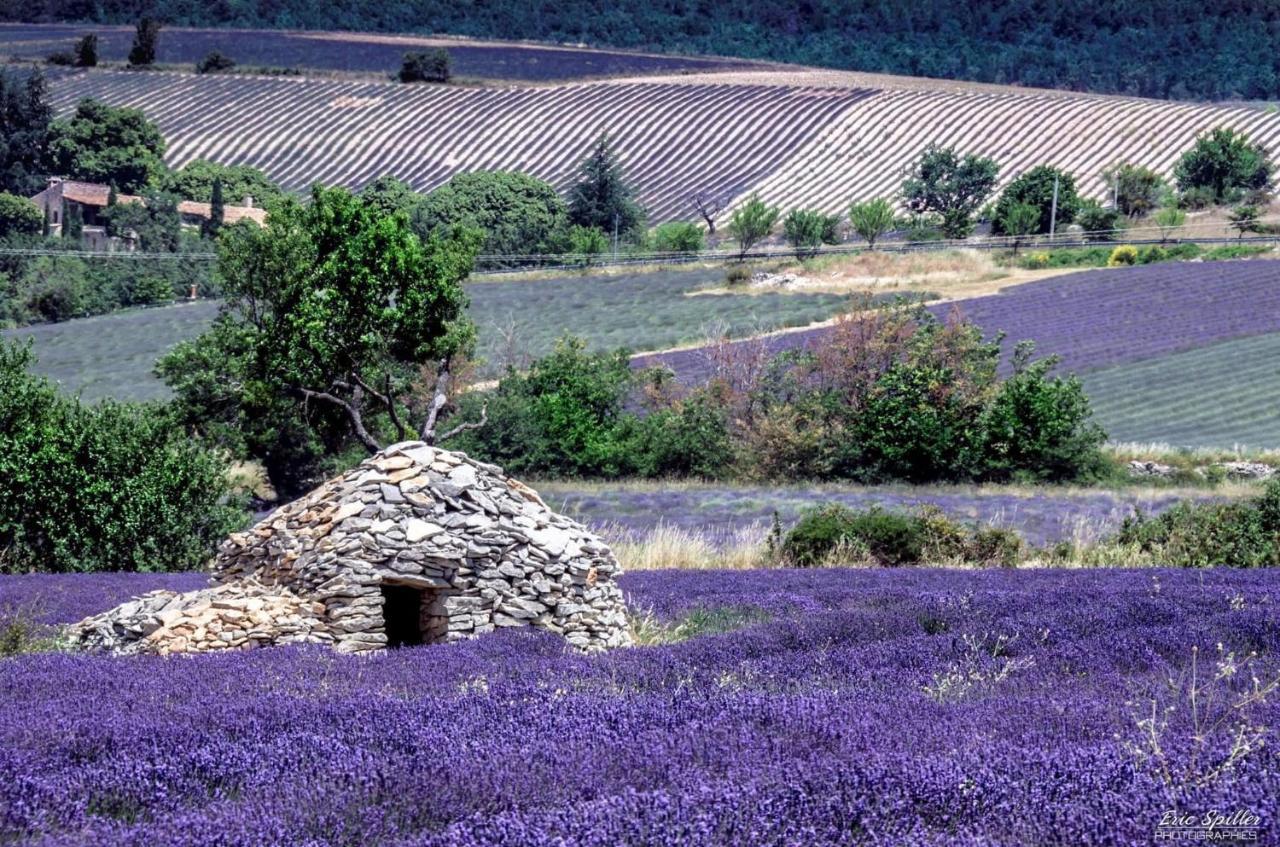 Hotel D'Albion Sault-de-Vaucluse Exteriér fotografie